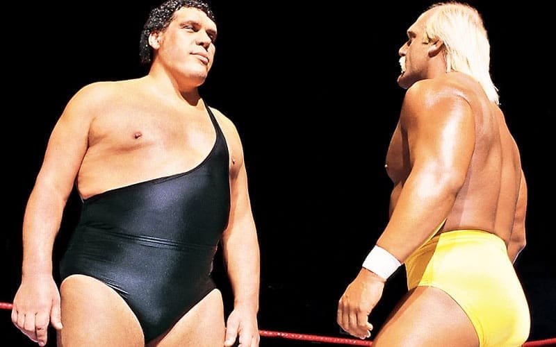 hulk-hogan-claims-he-earned-significantly-more-money-than-andre-the-giant-22