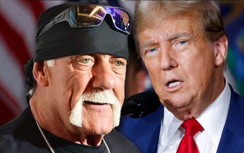 hulk-hogan-labeled-as-a-donald-trump-level-narcissist-45