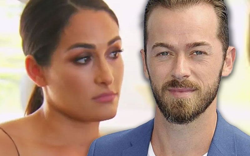 nikki-bella-furious-after-artem-chigvintsev-seeks-spousal-support-amidst-divorce-20