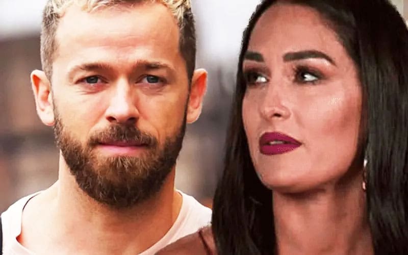 nikki-bella-retains-divorce-attorney-aafter-artem-chigvintsevs-domestic-battery-arrest-40