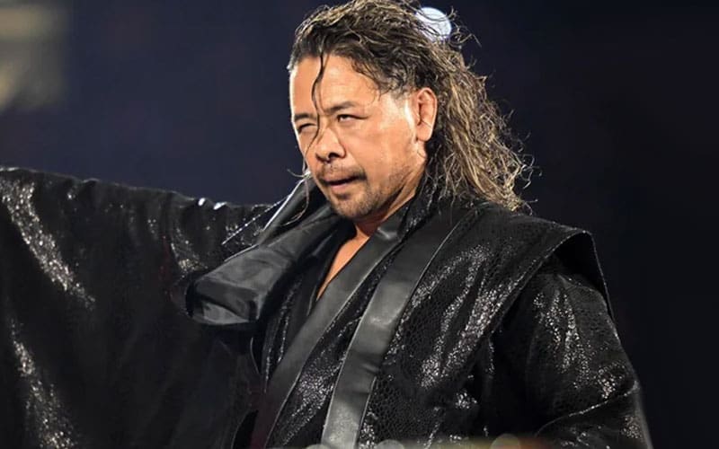 shinsuke-nakamuras-current-wwe-status-amid-television-absence-29