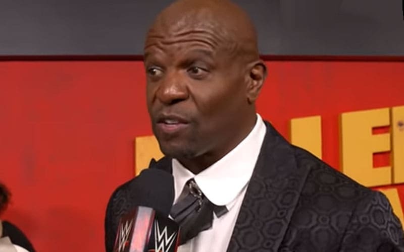 terry-crews-says-he-would-be-a-pro-wrestler-if-not-for-his-hollywood-career-12