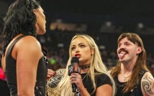 WWE's Booking Strategy for Shark Cage Stipulation at Bad Blood Revealed