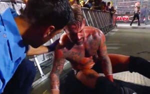 clarification-on-cm-punk-collapsing-after-hell-in-a-cell-match-at-wwe-bad-blood-2024-23