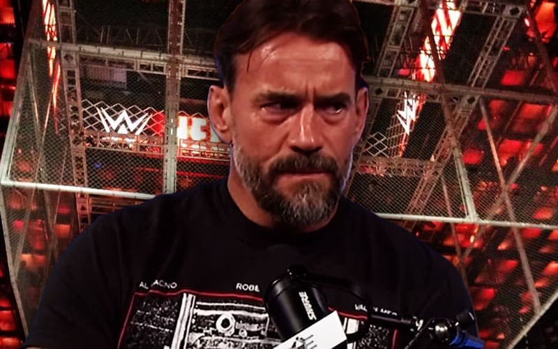 cm-punk-believes-wwe-has-made-hell-in-a-cell-just-a-toy-wants-to-bring-back-the-classic-feel-15