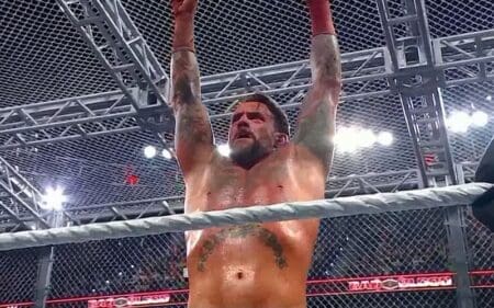 CM Punk Wins Hell In A Cell Match Against Drew McIntyre At WWE Bad Blood 2024