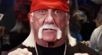 hulk-hogan-sparks-controversy-with-remarks-about-traditional-gender-roles-during-trump-endorsement-47