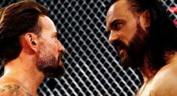 internal-reaction-to-cm-punk-and-drew-mcintyres-hell-in-a-cell-match-at-bad-blood-2024-16