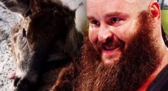 braun-strowman-brushes-off-backlash-over-thanksgiving-hunting-spree-23