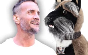 CM Punk’s Dog Larry Outsells WWE Legends in Merchandise Sales CM Punk’s Dog Larry Outsells WWE Legends in Merchandise Sales