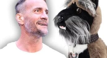 cm-punks-dog-larry-outsells-wwe-legends-in-merchandise-sales-54