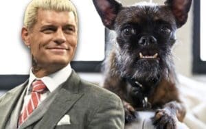 Cody Rhodes Reacts to Rumors of CM Punk’s Dog Larry Outselling WWE Stars in Merchandise Cody Rhodes Reacts to Rumors of CM Punk's Dog Larry Outselling WWE Stars in Merchandise