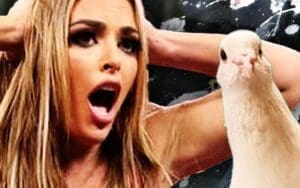 Mandy Rose’s Open-Top Drive Ruined by Bird’s Unfortunate Drop Mandy Rose’s Open-Top Drive Ruined by Bird’s Unfortunate Drop