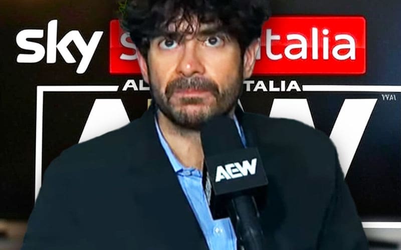AEW Faces Setback in Italian Market as SKY Sport Deal Ends in 2025