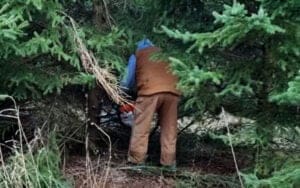 Braun Strowman Shows Off Lumberjack Skills Cutting Down Christmas Tree for Local Church