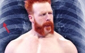 WWE Announces Sheamus Suffers Cracked Rib at Survivor Series WarGames