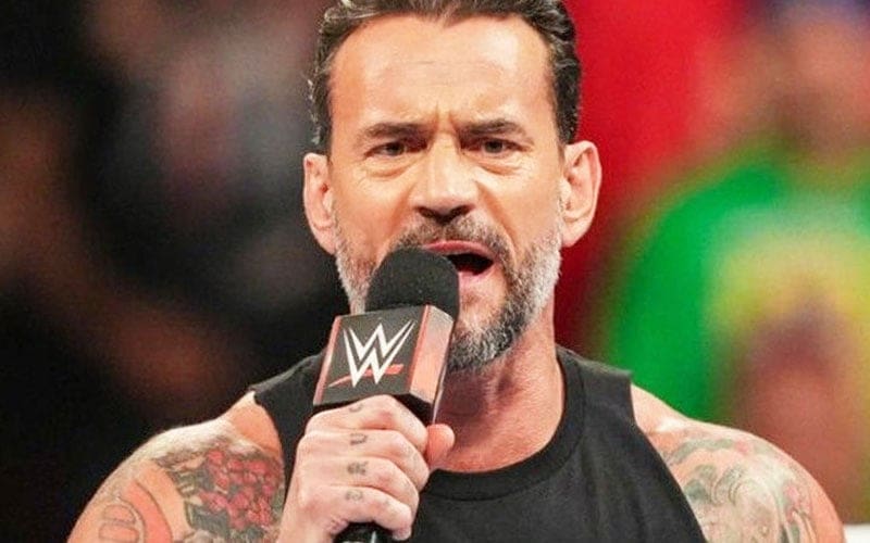 Absent WWE Star Has Sights Set on CM Punk Match