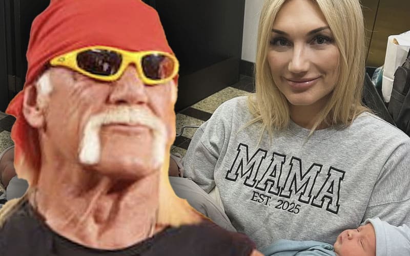 Hulk Hogan Becomes a Grandfather as Daughter Brooke Welcomes Twins