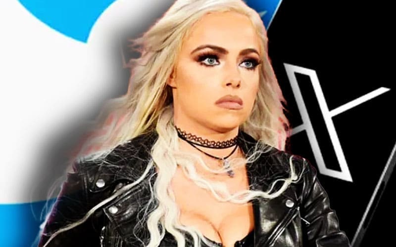 Liv Morgan’s Deleted Tweet Addresses RAW on Netflix Title Defeat to Rhea Ripley