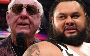 Ric Flair Shuts Down Ring Return Talk While Firing Back at Bronson Reed