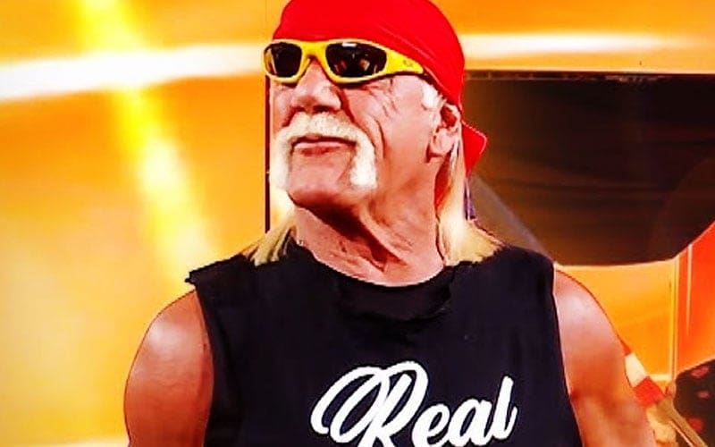 WWE Anticipated Possibility of Negative Crowd Reaction to Hulk Hogan Before Netflix Debut