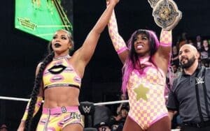 WWE NXT Viewership for January 28 Sees Increase After Explosive Women's Tag Team Title Match