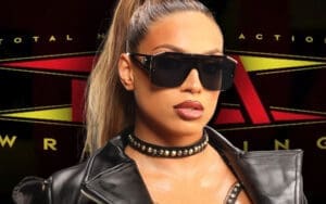 Elektra Lopez in Talks with TNA Wrestling After WWE Release