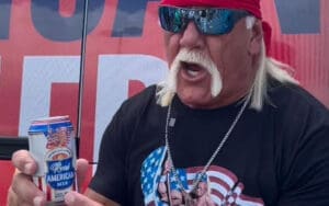 Hulk Hogan and Real American Beer Hit with Lawsuit After Fan Gets Nailed by Beer Can Hulk Hogan and Real American Beer Hit with Lawsuit After Fan Gets Nailed by Beer Can