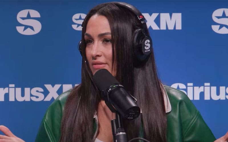 Nikki Bella Is Looking For All Aged Men As She Leaps Back Into The Dating Scene