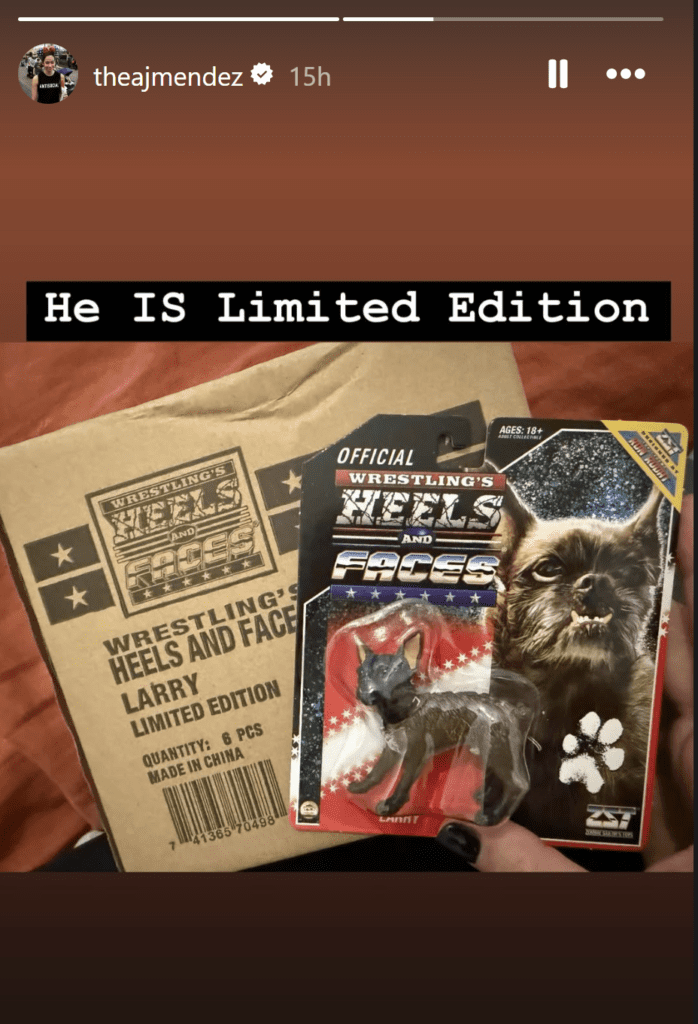 AJ Lee Reveals First Look at Limited-Edition Larry the Dog Action Figure