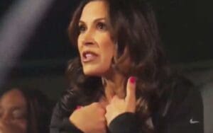 Fans Call Out Mickie James’ Double Standards Over ‘Jazzed-Up Lingerie’ Remarks