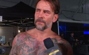 CM Punk Refuses to Speak After Shocking WrestleMania 41 Conclusion CM Punk Refuses to Speak After Shocking WrestleMania 41 Conclusion