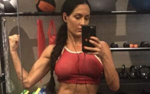 Nikki Bella Secretly Training Weekly for WWE Comeback Nikki Bella Secretly Training Weekly for WWE Comeback