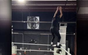 Dani Palmer Reveals Unseen Finisher After WWE Exit Dani Palmer Reveals Unseen Finisher After WWE Exit