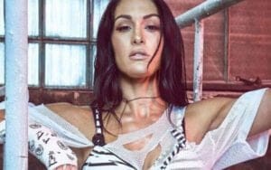 Nikki Bella Reveals She’s Preparing for WWE Comeback With New Training Regimen Nikki Bella Reveals She’s Preparing for WWE Comeback With New Training Regimen