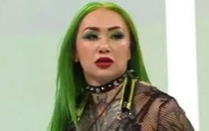 Shotzi Quietly Moved to WWE Alumni Section