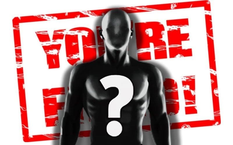WWE Cuts Longtime Host Amid Company Layoffs