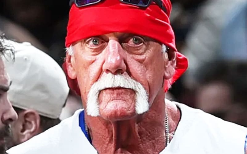 AEW Star Says Hulk Hogan Should Be Written Out of Wrestling