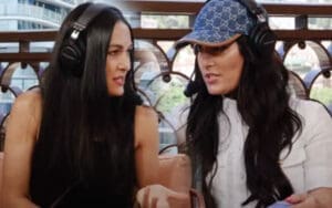 Brie Bella Calls Out Nikki for Dodging Vacation Fling on Yacht Getaway Brie Bella Calls Out Nikki for Dodging Vacation Fling on Yacht Getaway