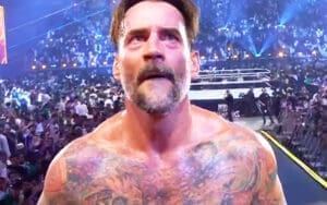 CM Punk Reacts to WWE Night of Champions Loss With Cryptic Post