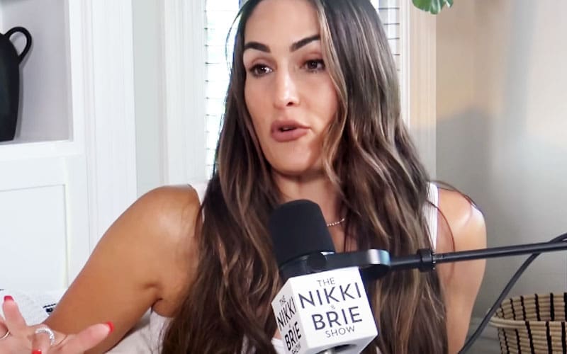 Nikki Bella Blames “Ignorant Men” for Most of the Hate She Gets Online