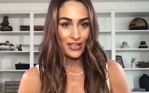 Nikki Bella Explains Why Now Was the Perfect Time for Her WWE Return Nikki Bella Explains Why Now Was the Perfect Time for Her WWE Return