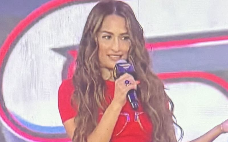 Nikki Bella Says WWE Press Conferences Are ‘So Different’ From Her Wrestling Days