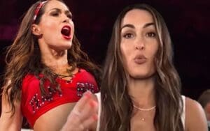 Nikki Bella Teases Possible Brie Bella WWE Comeback
