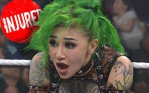 Shotzi Blackheart Pulls Out of Indie Bookings Due to Injury