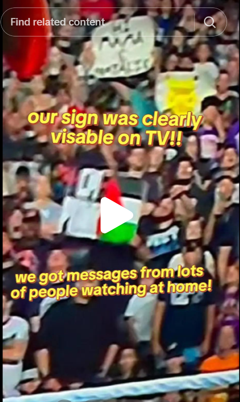 WWE Accused of Confiscating CM Punk-Palestine Sign During RAW Broadcast