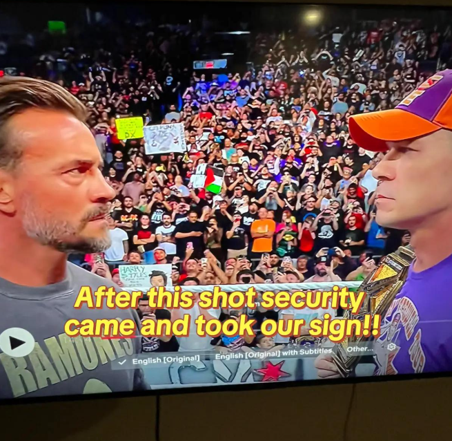 WWE Accused of Confiscating CM Punk-Palestine Sign During RAW Broadcast