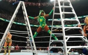 WWE Ladders May Be the Next Billboard as Sponsorships Could Take Over Money in the Bank WWE Ladders May Be the Next Billboard as Sponsorships Could Take Over Money in the Bank