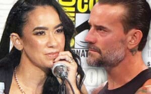 AJ Lee Addresses Possibly Working with CM Punk Despite His Reluctance AJ Lee Addresses Possibly Working with CM Punk Despite His Reluctance