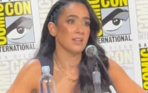 AJ Lee Admits She Misses the Ring and Her Fan Connection AJ Lee Admits She Misses the Ring and Her Fan Connection